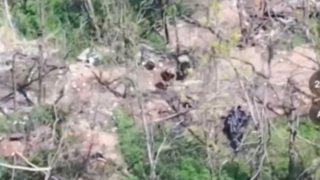 Уничтожение группы боевиков ВСУ на ореховском направлении