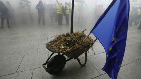 Акция протеста польских фермеров