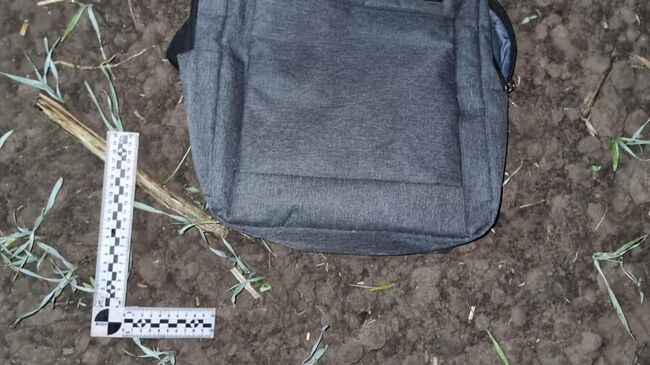 Сотрудники СК на месте преступления в лесном массиве на территории Новосибирского района