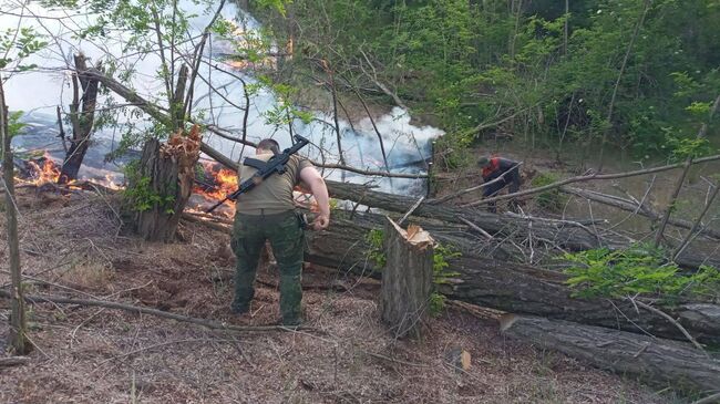 Лесной пожар в результате обстрелов со стороны ВСУ в Херсонской области 