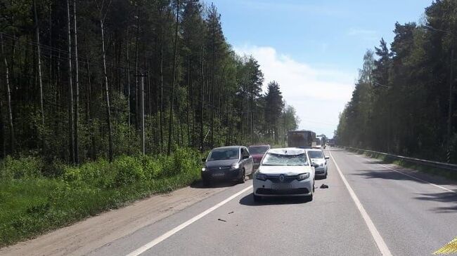 Место наезда водителя иномарки на лося в Раменском