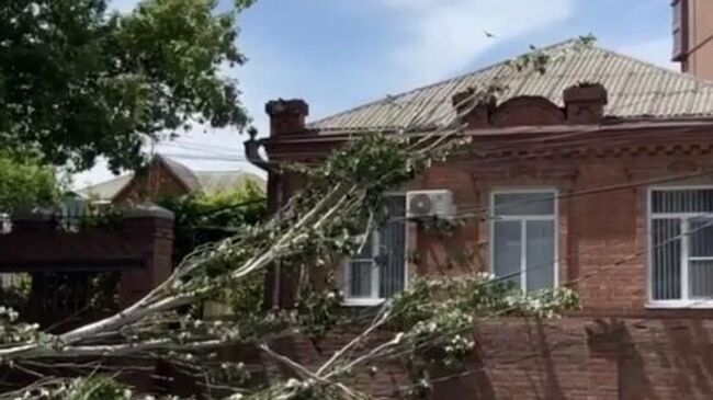 Ветер повалил дерево на крышу жилого дома в Ростове-на-Дону 