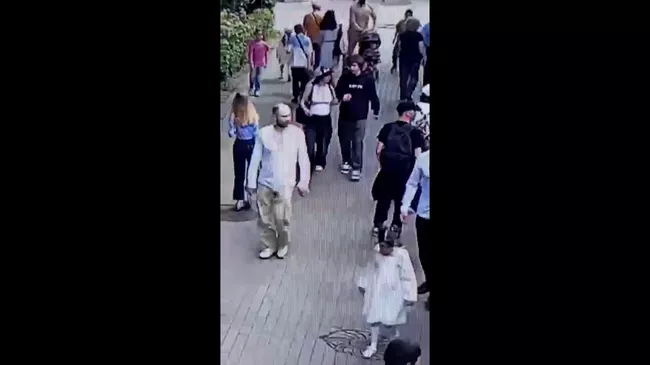 Видео с неизвестным, который пытался отравить животных в Московском зоопарке
