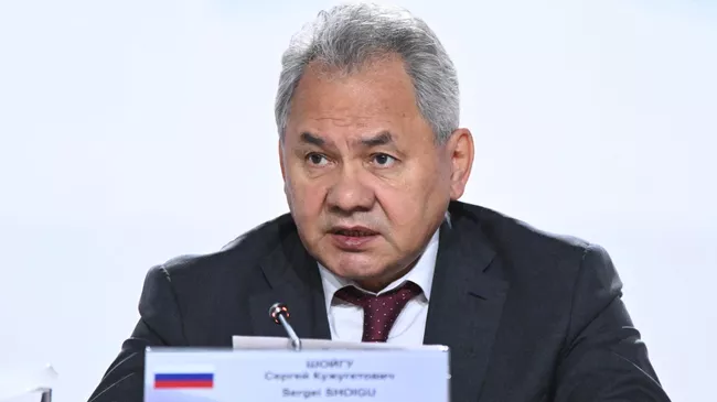 Секретарь Совета безопасности РФ Сергей Шойгу