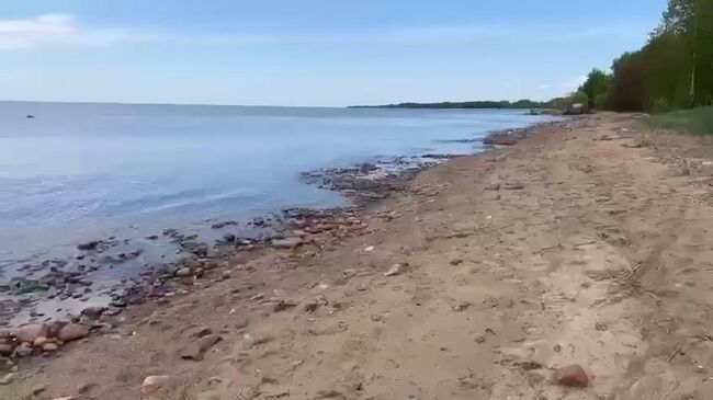 Легкомоторный самолет после аварийной посадки 