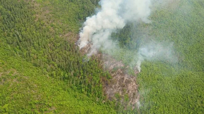 Лесной пожар на территории Сихотэ-Алинского заповедника в Приморье 