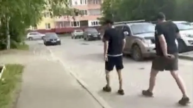 Мужчины, напавшие на девушек, искавших кота