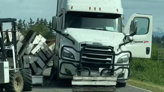 Фура, перевозившая ульи, перевернулась в американском штате Вашингтон