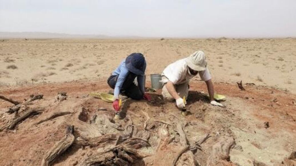 Ученые выяснили назначение загадочной стены в Монголии