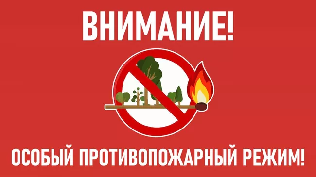 В Тверской области вводится особый противопожарный режим