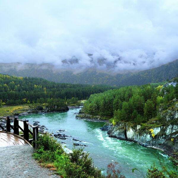 Река Катунь Река Катунь