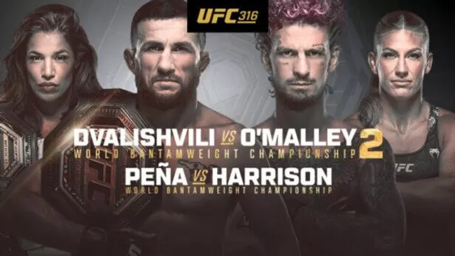 Официальный постер UFC 316