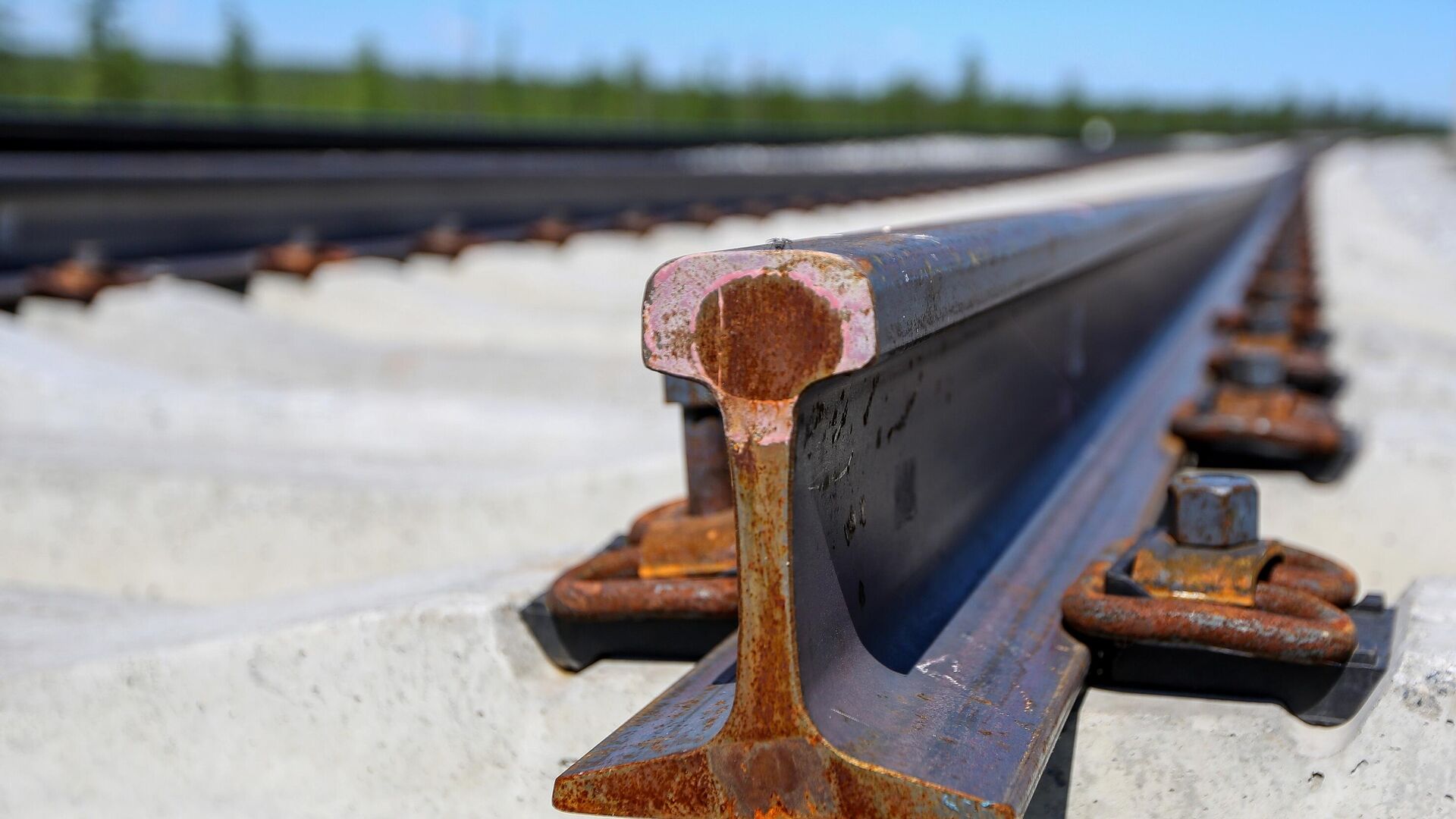 Рельсы Рельсы - РИА Новости, 1920, 28.11.2025