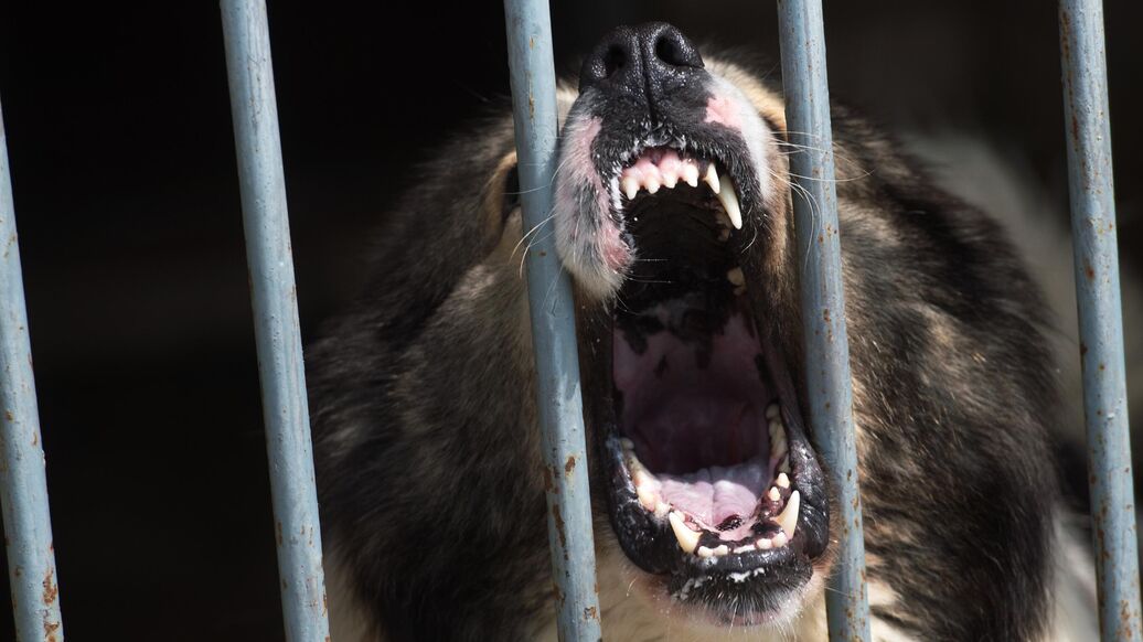 "Действовали очень продуманно". Как сотню москвичей заманили в ловушку