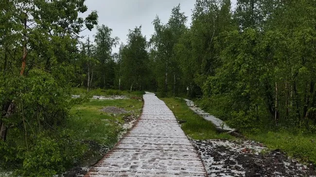 Снег в Пермском крае. 6 июня 2025