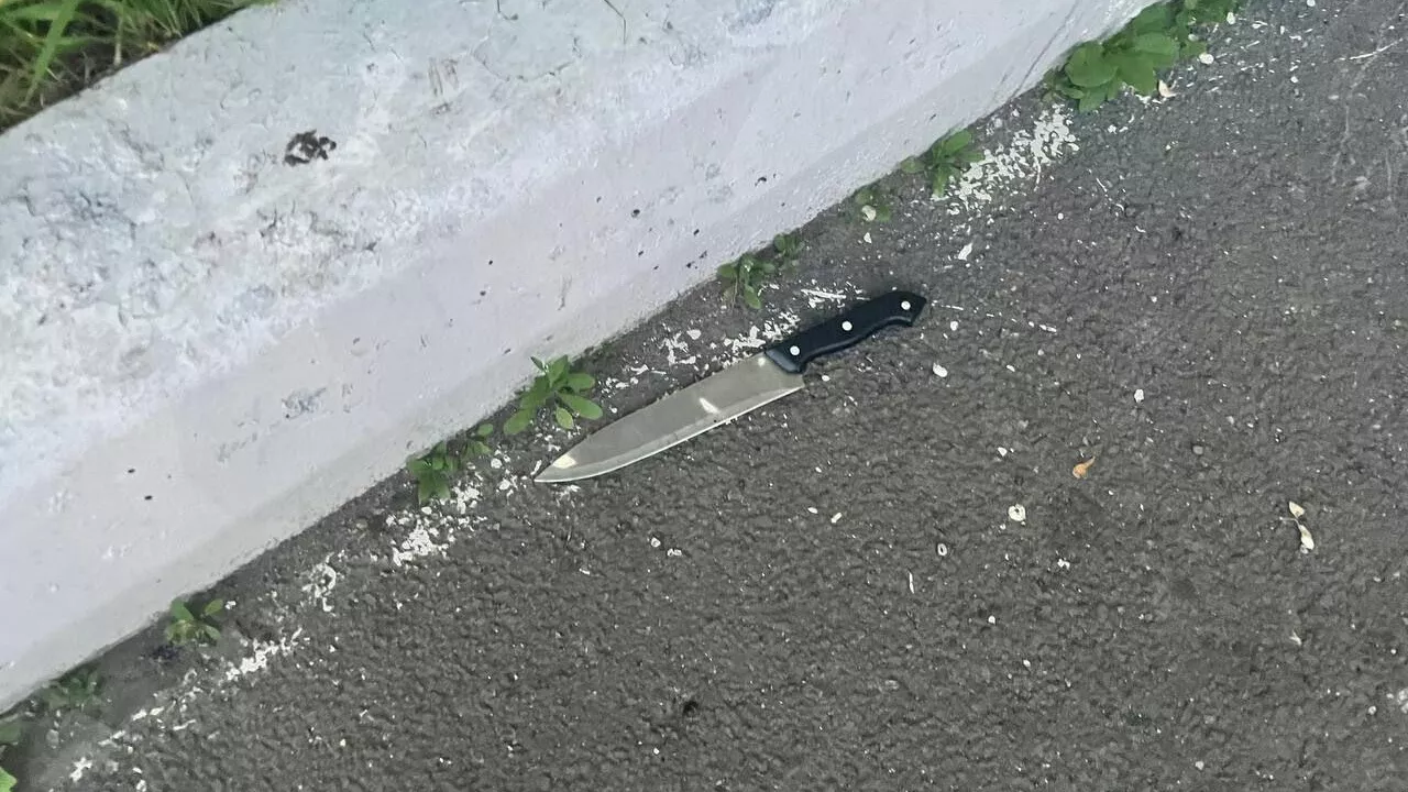 Нож, с которым мужчина напал на прохожего во дворе жилых домов в Красноярске - РИА Новости, 1920, 06.06.2025