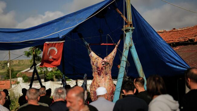 Закалывание жертвенных животных в первый день праздника Курбан-байрам в Стамбуле