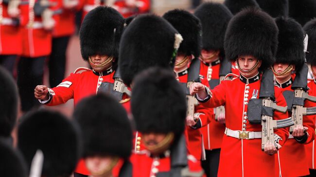 Гвардия короля Карла III