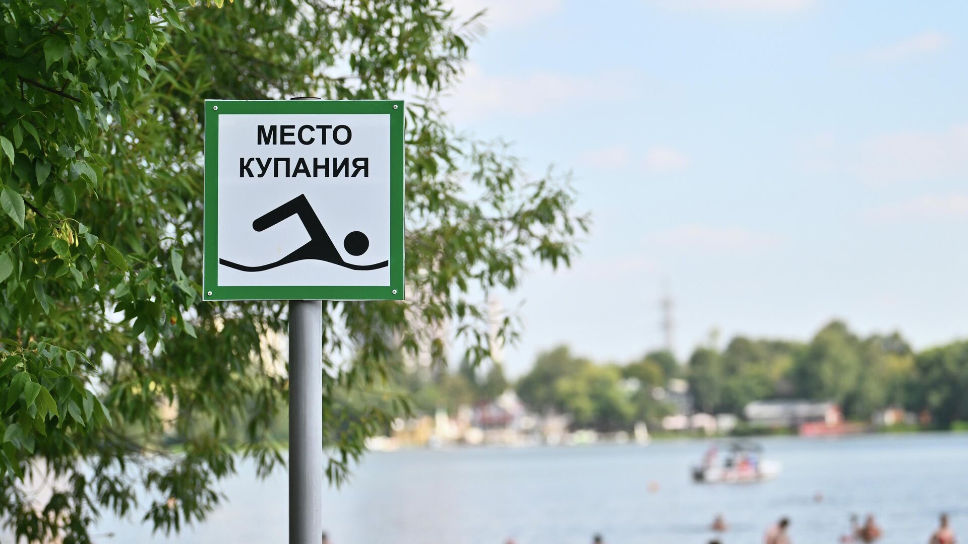 Люди купаются на Белом озере в природно-историческом парке Косинский в Москве - РИА Новости, 1920, 09.06.2025