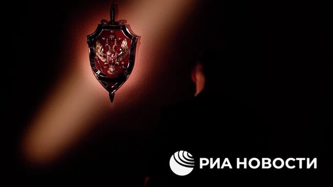 ФСБ о попытках недружественных стран добывать в России вооружение для Киева