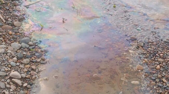 Последствия аварии теплохода на реке Енисей в Красноярске