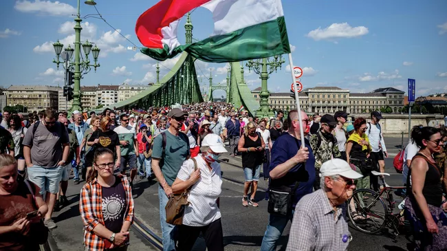 Протестующие против закона о прозрачности общественной жизни в Будапеште