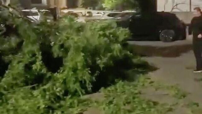 Последствия сильного ветра в Махачкале