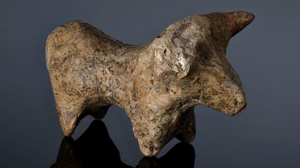 "Открытие года". Результаты раскопок в Дагестане шокировали археологов