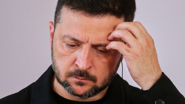 Владимир Зеленский во время визита в Австрию
