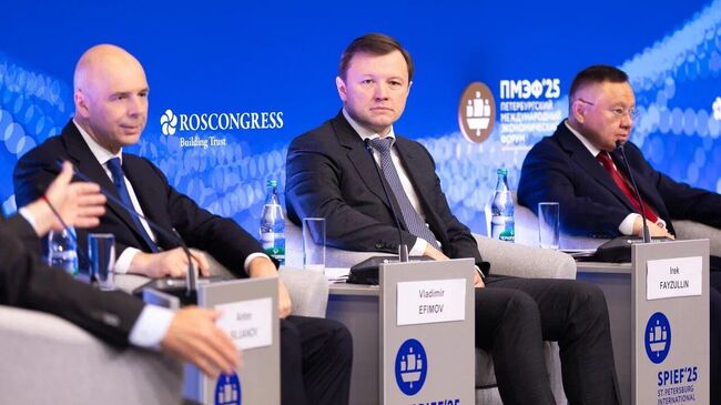 Владимир Ефимов