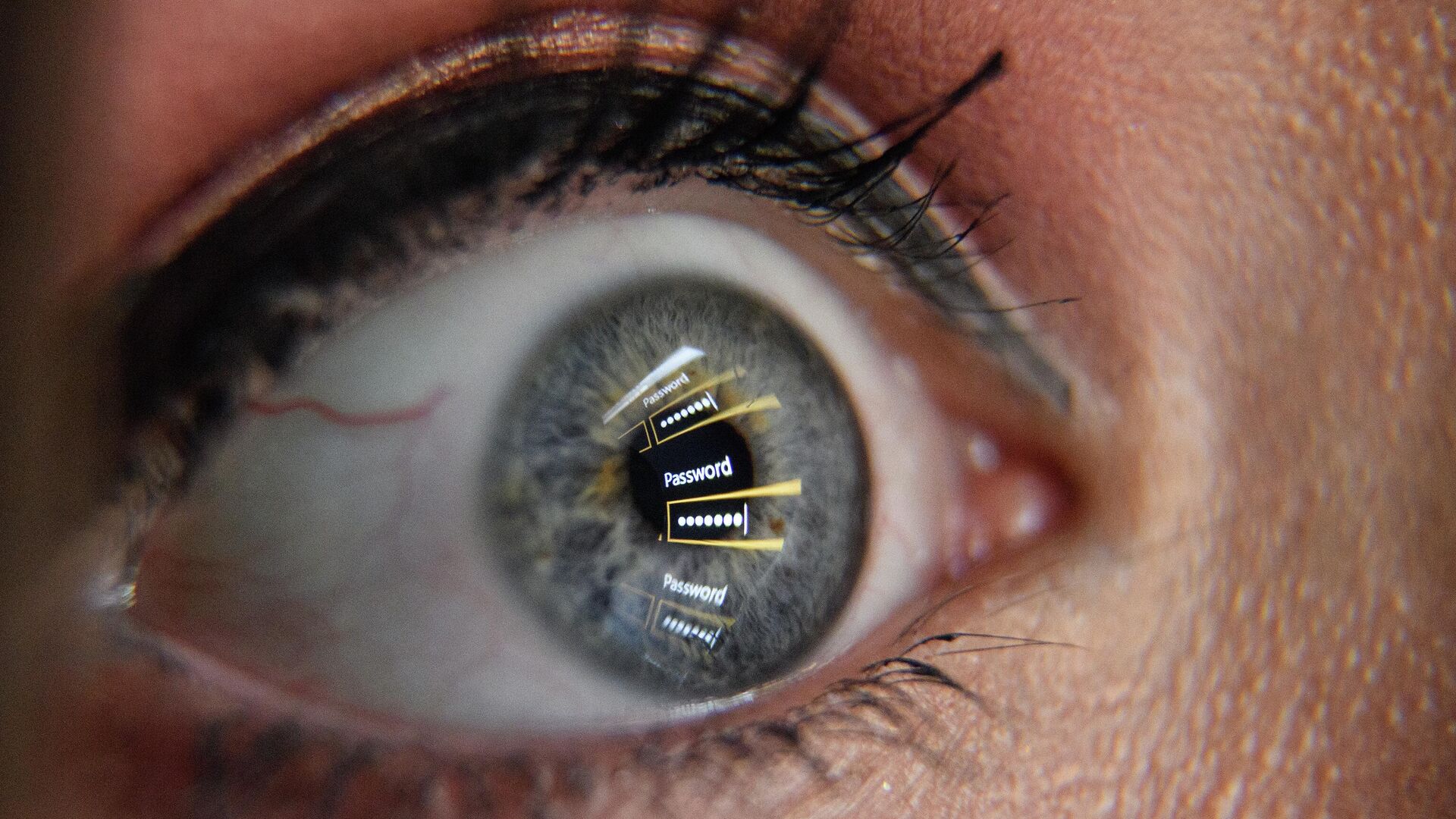 Отражение диалогового окна для ввода пароля в глазах девушки - РИА Новости, 1920, 19.06.2025