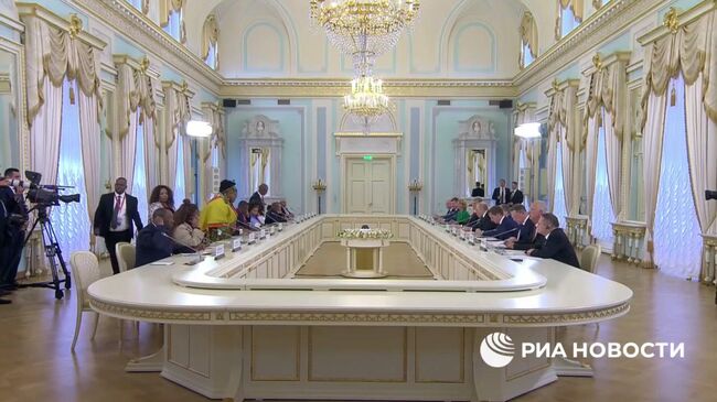 Путин и вице-президент ЮАР начали беседу в Стрельне 