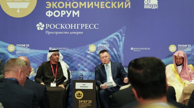 Генеральный прокурор РФ Игорь Краснов на ПМЭФ-2025