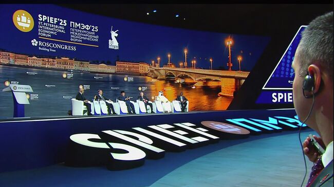 Президент России Владимир Путин выступает на пленарном заседании Петербургского международного экономического форума