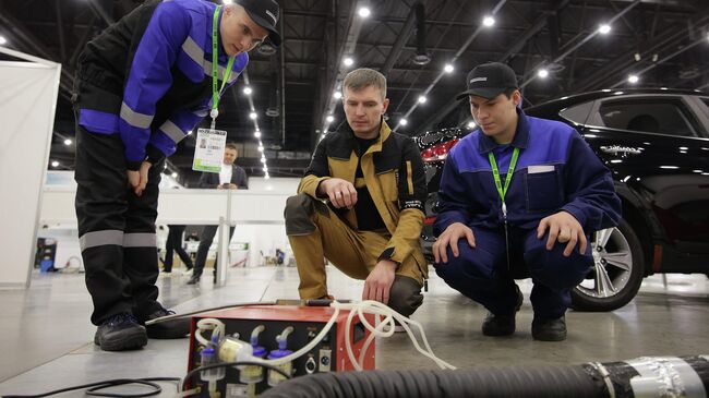 Число компетенций чемпионата Профессионалы выросло до 281