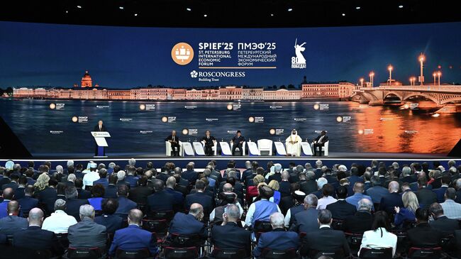 Президент РФ Владимир Путин выступает на пленарном заседании XXVIII Петербургского международного экономического форума