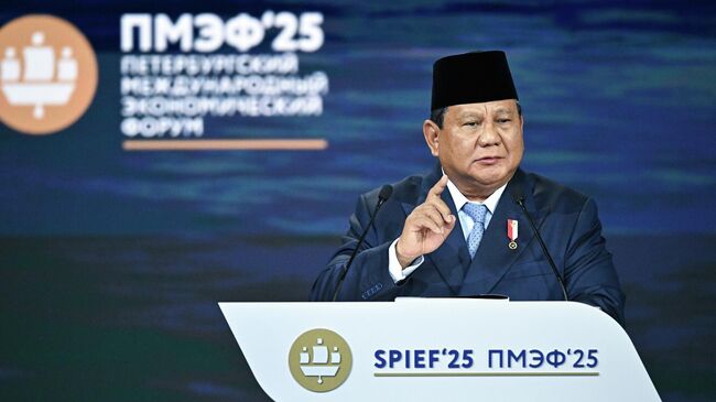 Президент Индонезии рассказал, почему предпочел поехать на ПМЭФ, а не на саммит G7