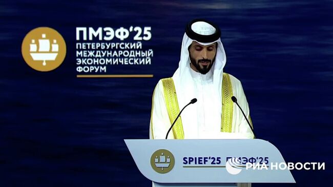 Представитель короля Бахрейна процитировал Пушкина на пленарном заседании ПМЭФ 