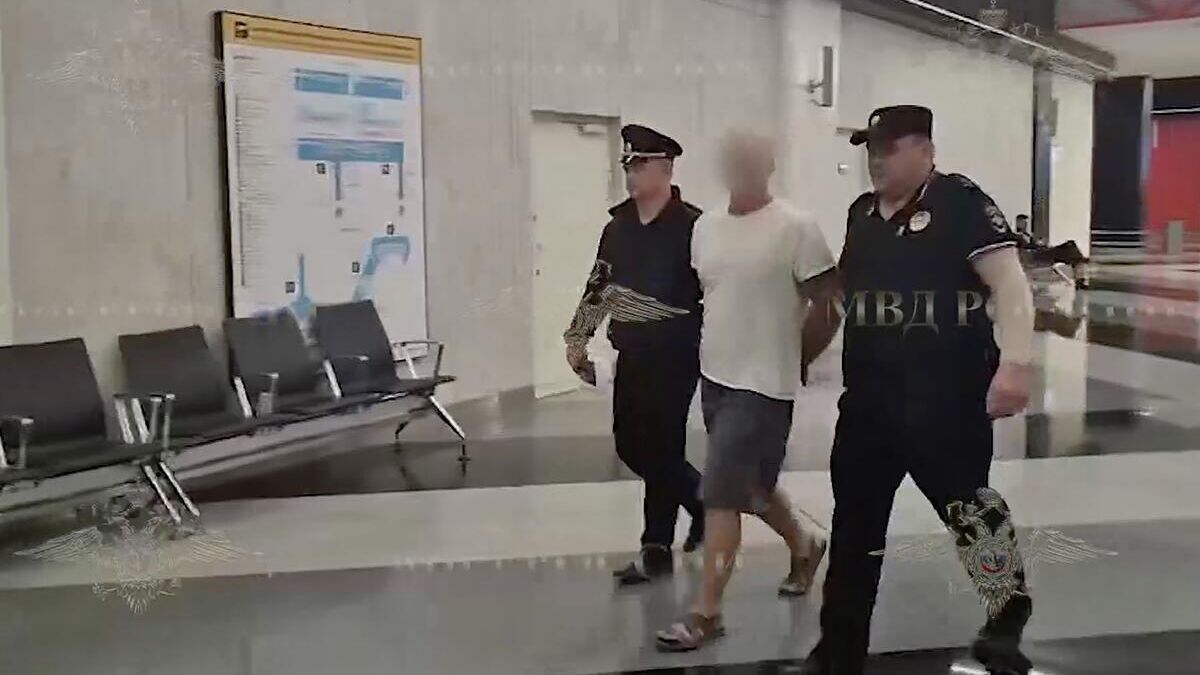 Мужчина, задержанный за нападение на ребенка в аэропорту Шереметьево0