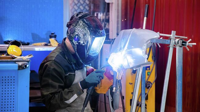 Развитие профессионального образования