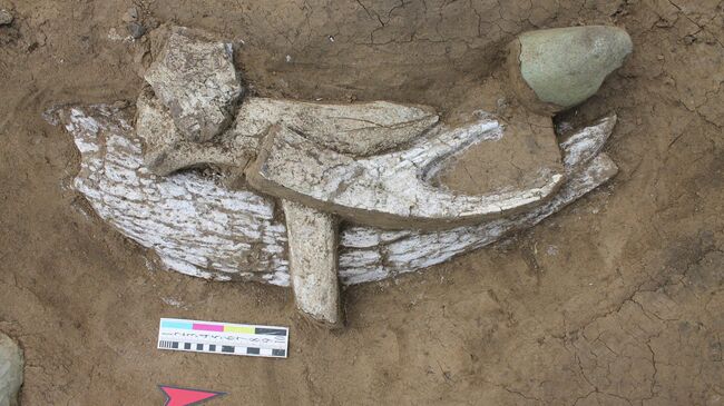 Стоянка Солнечный