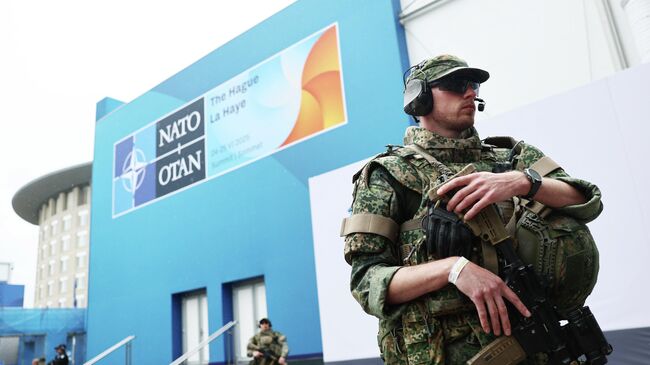 Военный во время саммита НАТО в Гааге