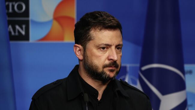 Владимир Зеленский на саммите НАТО в Гааге