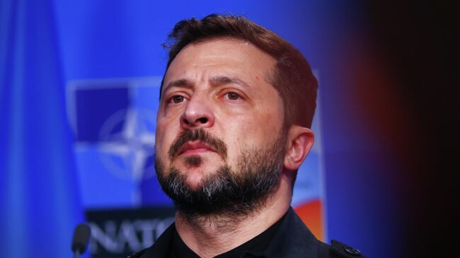 Владимир Зеленский на саммите НАТО в Гааге