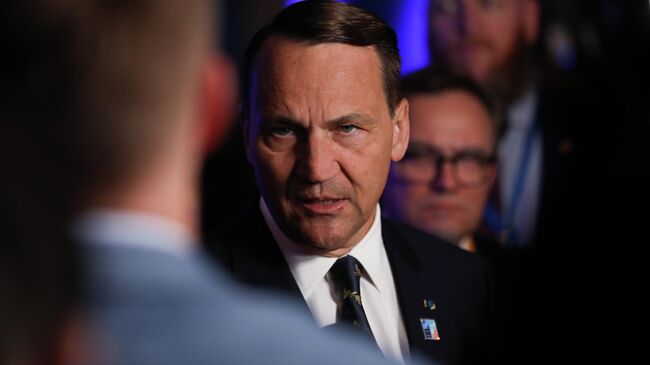 Министр иностранных дел Польши Радослав Сикорский на саммите НАТО