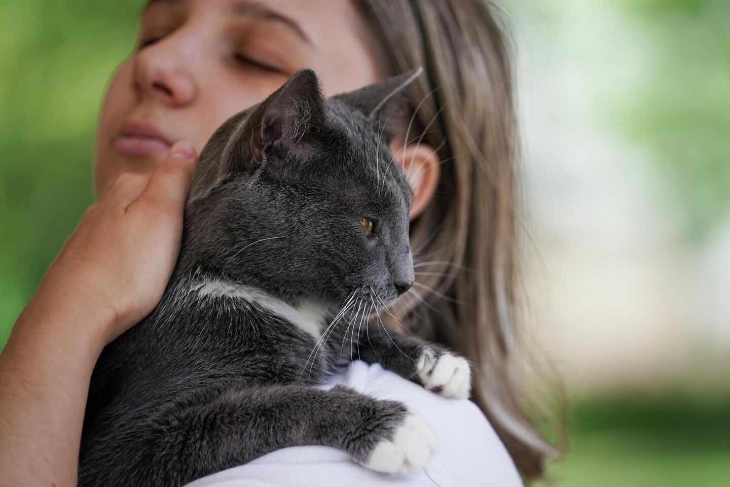 Кошка из приюта Кошка из приюта