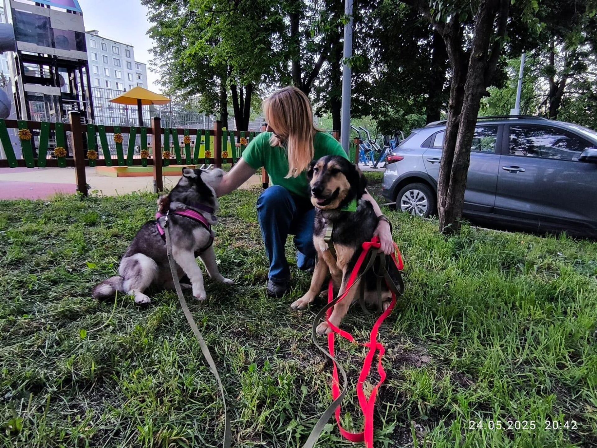 Мария Чупина с собаками из приюта Зоорассвет Мария Чупина с собаками из приюта Зоорассвет