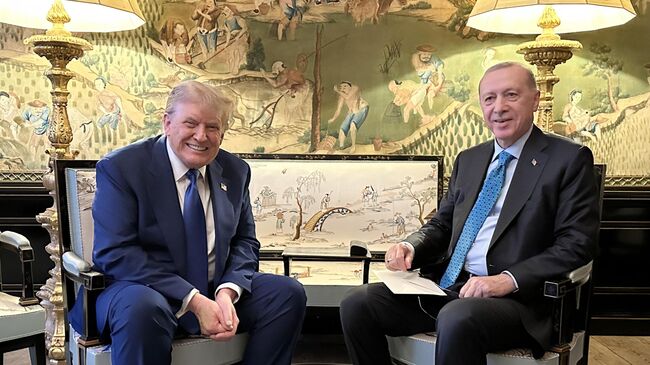 Президент США Дональд Трамп и президент Турции Тайип Эрдоган во время встречи на саммите НАТО в Гааге