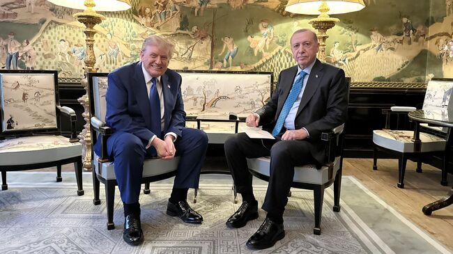 Президент США Дональд Трамп и президент Турции Тайип Эрдоган во время встречи на саммите НАТО в Гааге