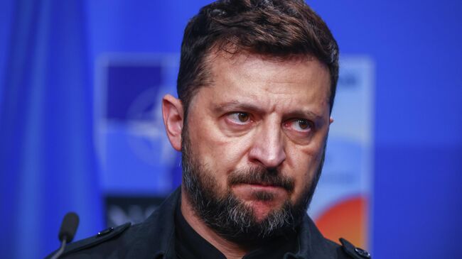 Владимир Зеленский на саммите НАТО в Гааге